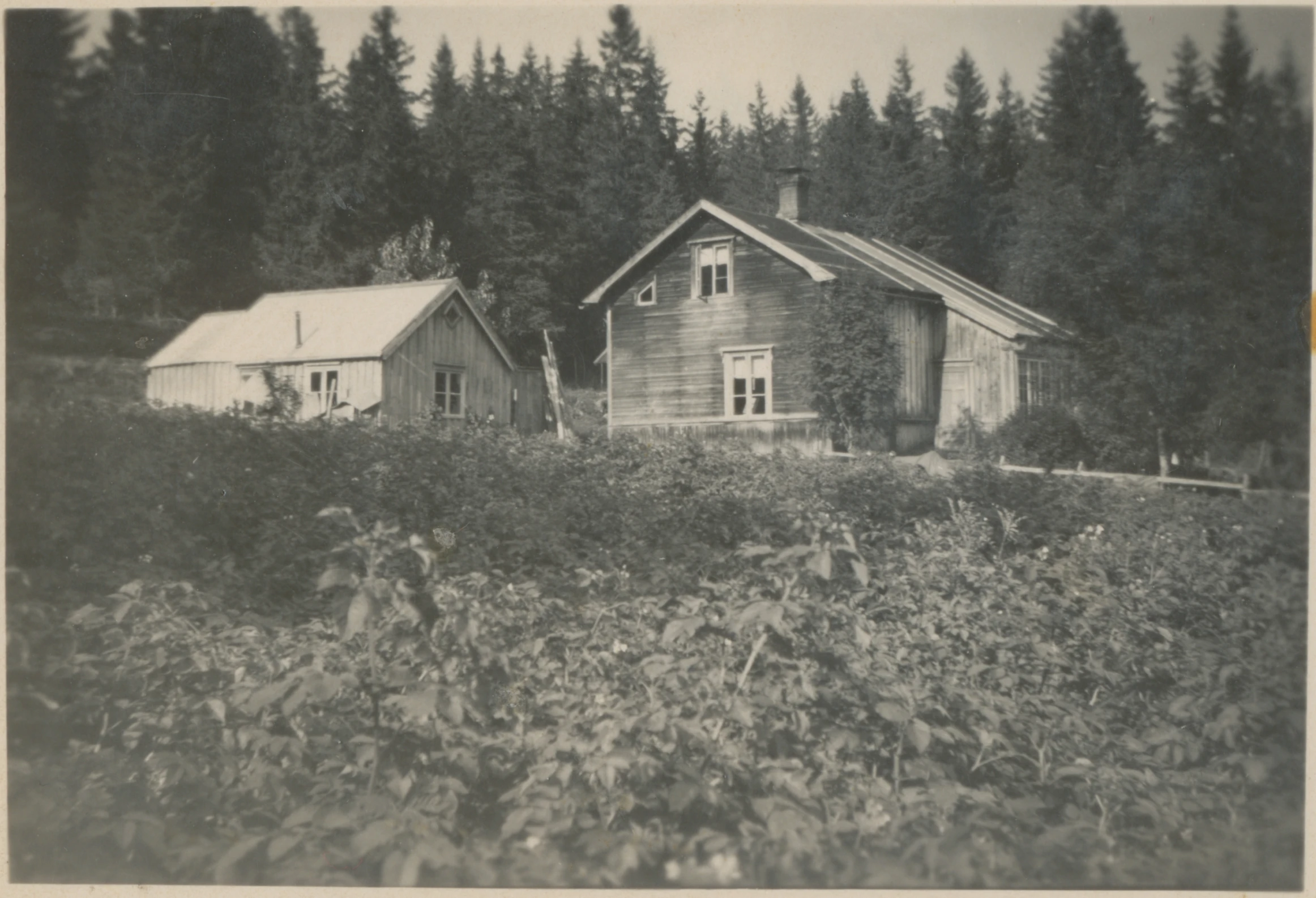 an old black and white po of a small house