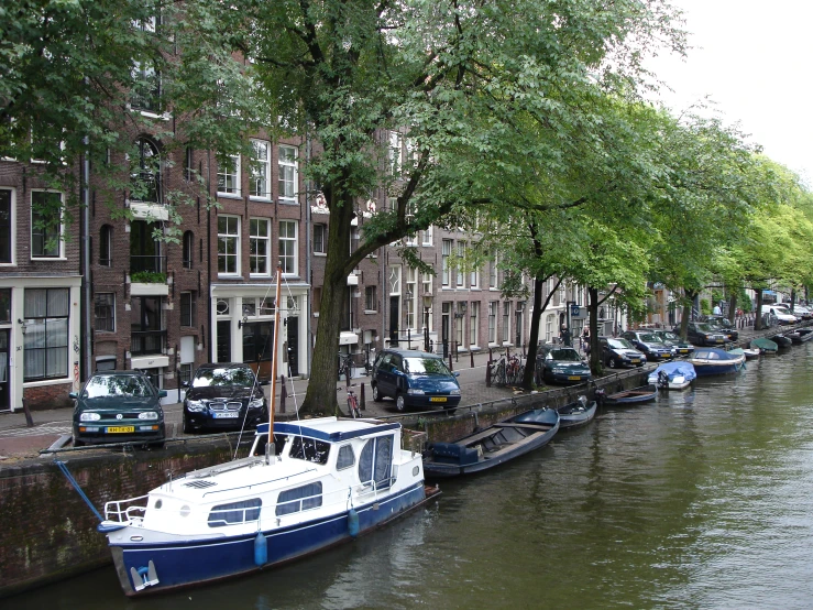 boats are lined up along the side of the river