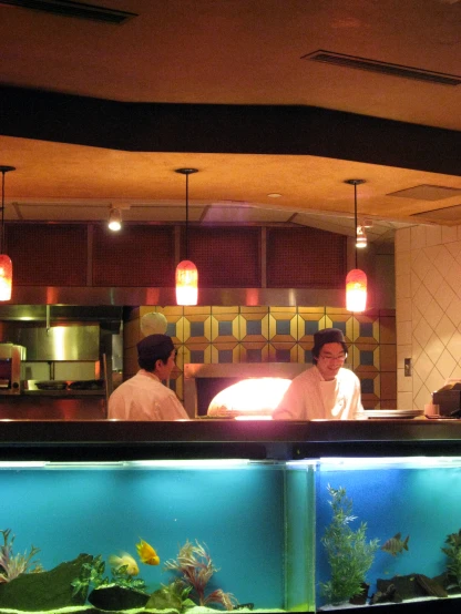 two people sitting at a counter by a fish tank