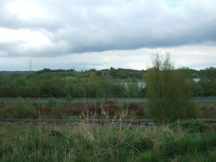 there are green trees and bushes next to a railroad track