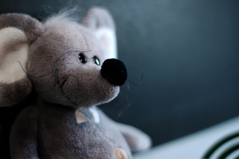 a stuffed animal is sitting on a table