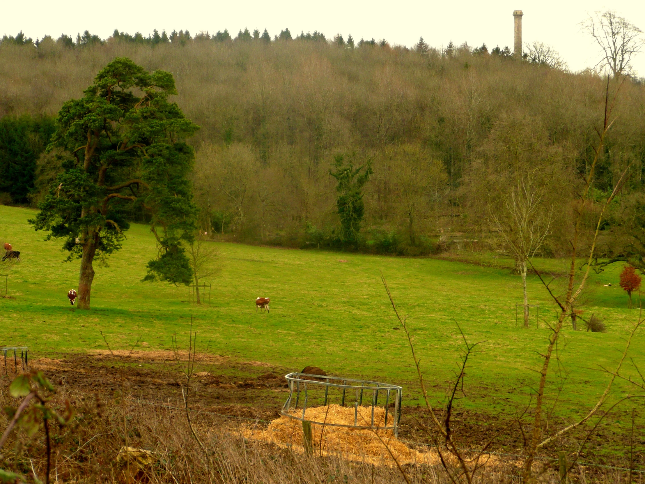 a large field with animals in it