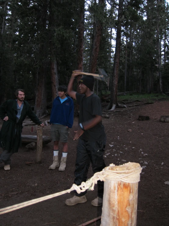 two men work on a tree