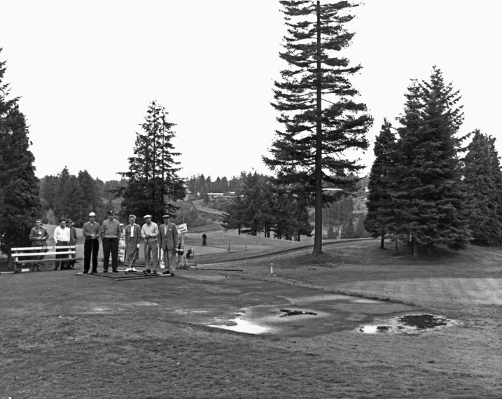 several people standing in a park and a few trees