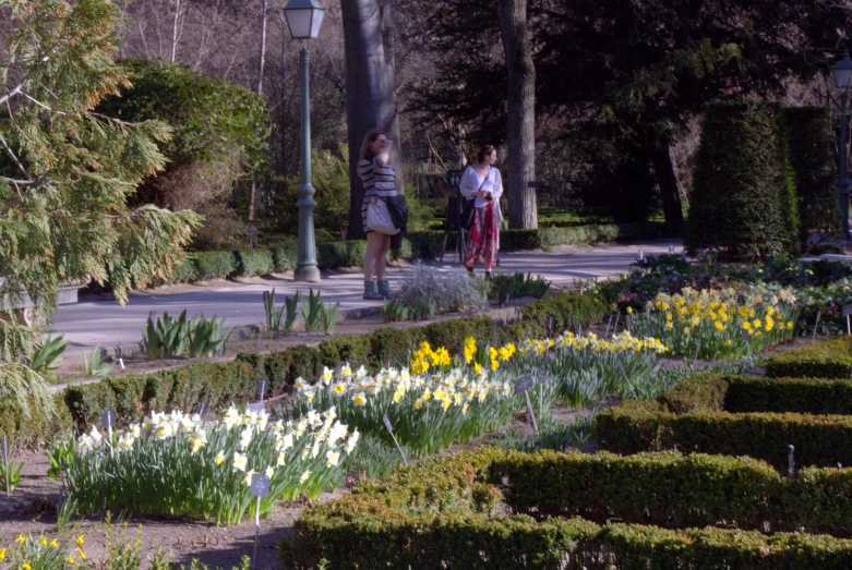 two women in red shirts and floral arrangements at a park