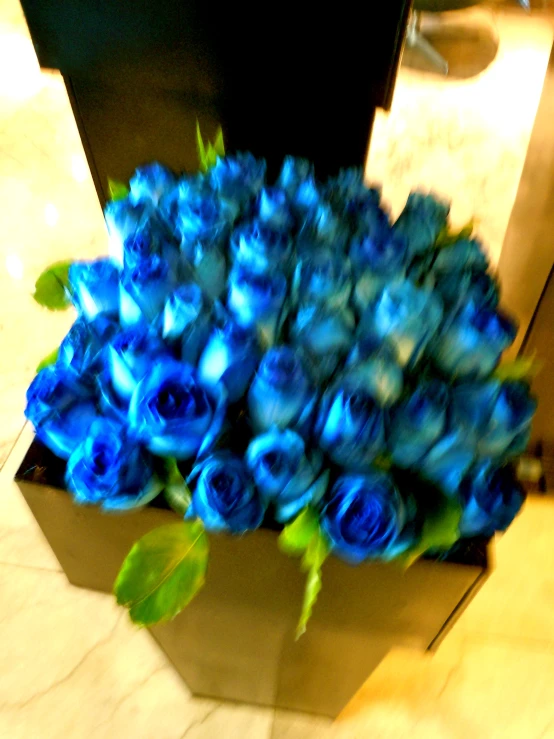 blue roses in a black vase on a counter