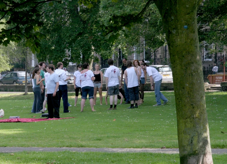 several people are on a green lawn with one person in a blue shirt and the other a red white and black plaid blanket