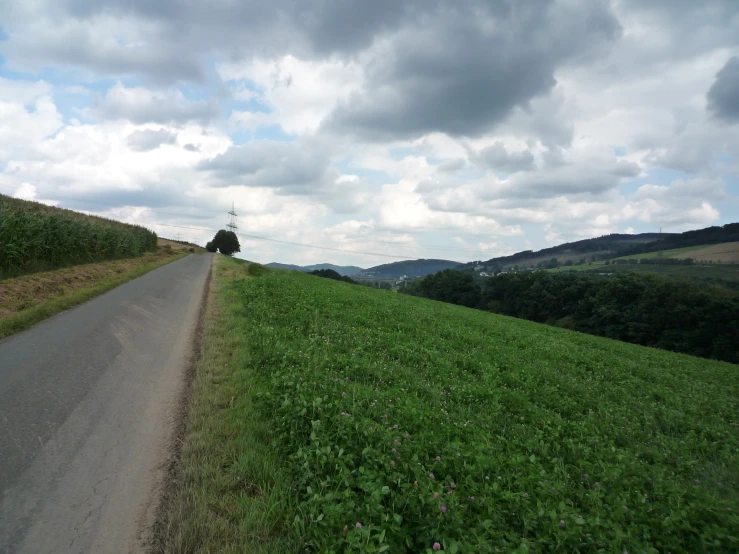 a dirt road leads across the grassy fields