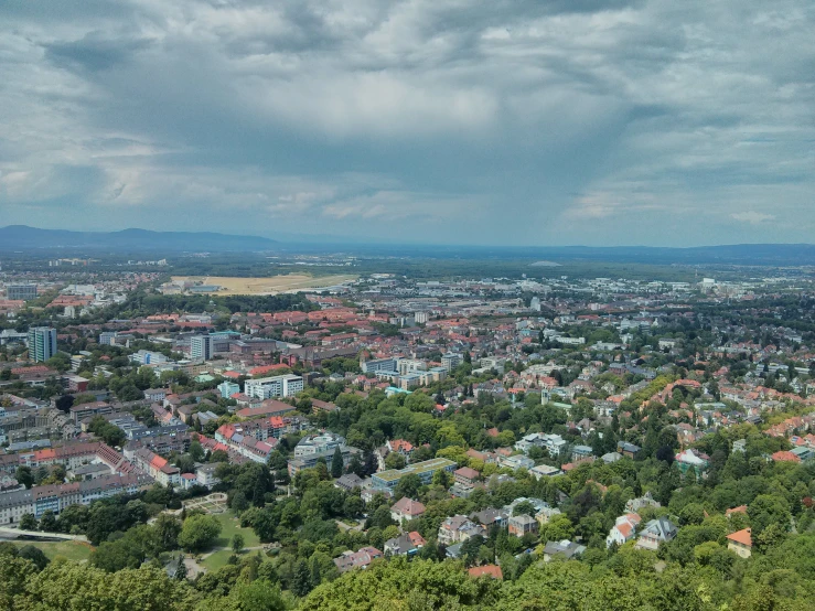 cityscape, trees and grey skies over a wooded area