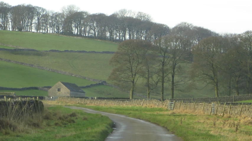 the house in the countryside is nestled beside the country road