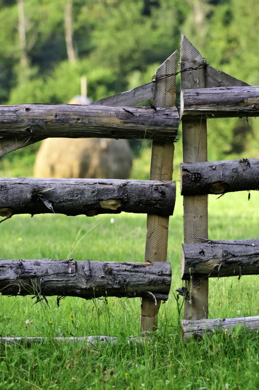 a fenced in field of grass and a cow grazing