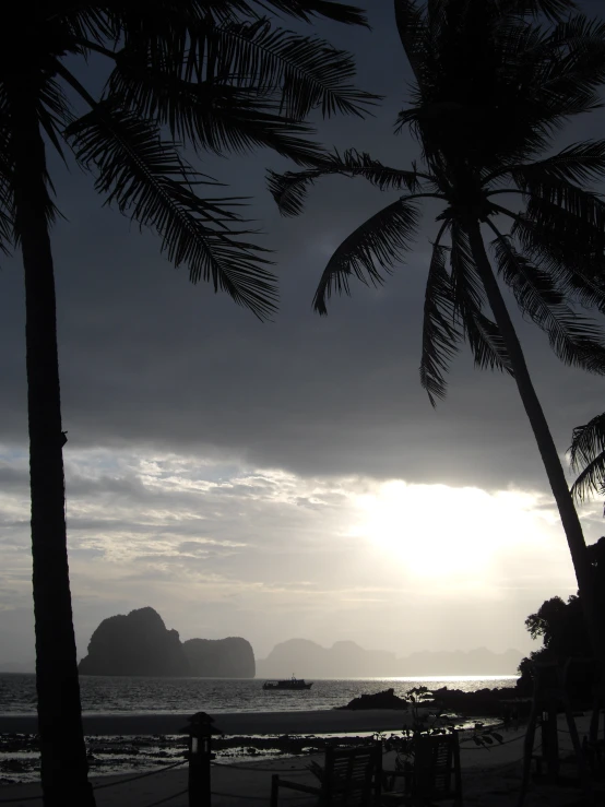 the sun shines through palm trees next to an ocean