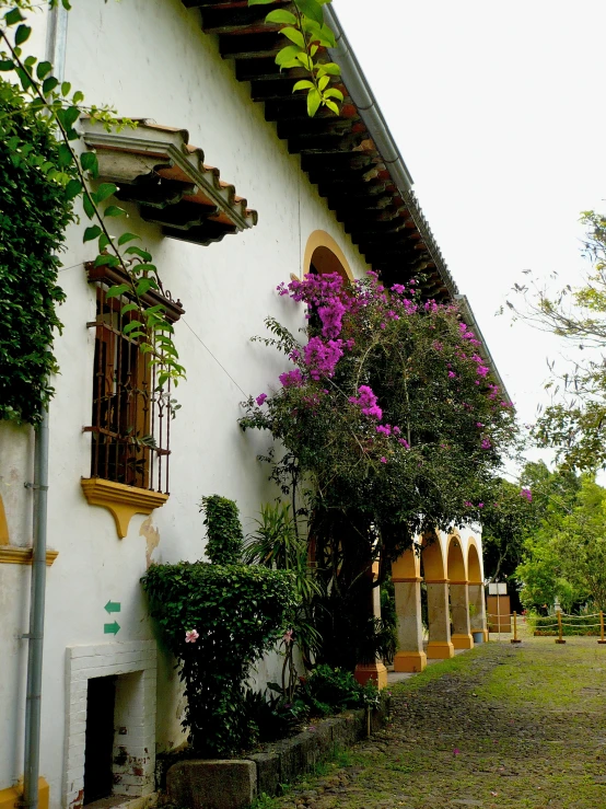 purple flowers adorn this large white building