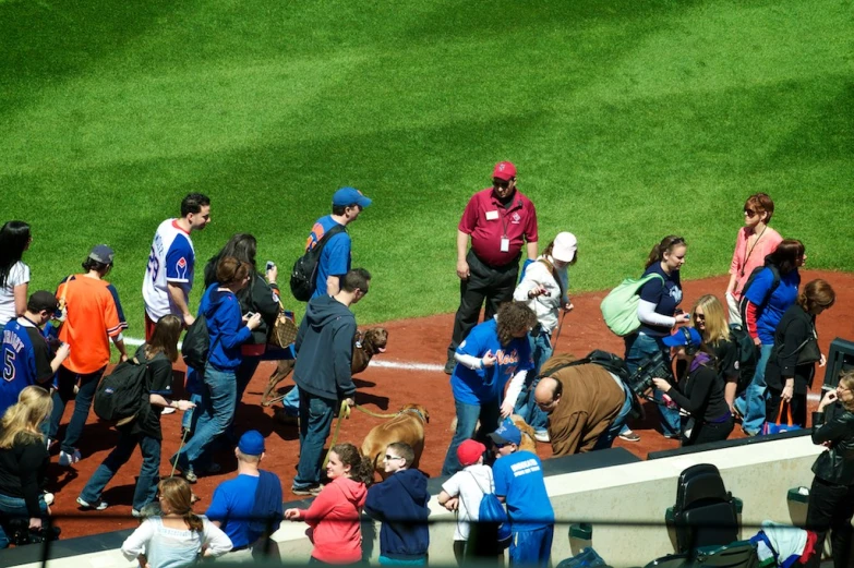 several baseball players stand on a baseball field