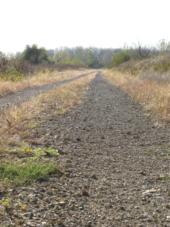 a lonely yellow stop sign sitting in the middle of a dirt road