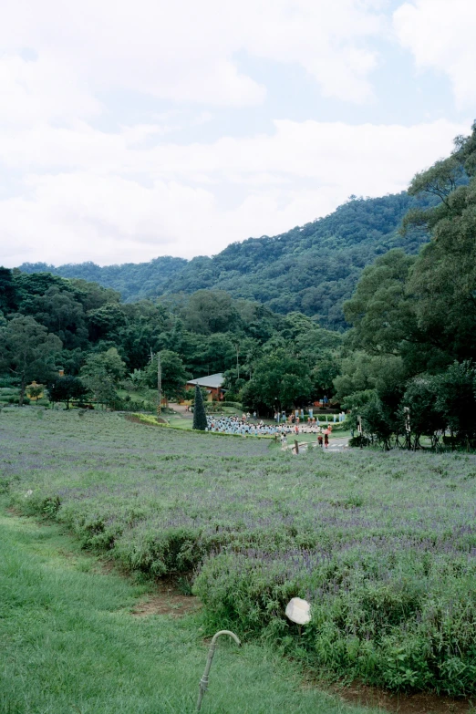 a field with some people in it