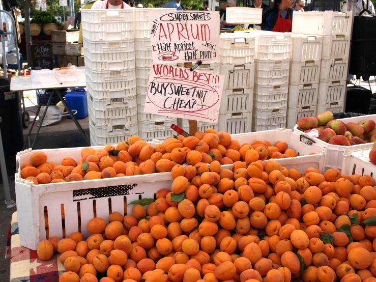 several crates of oranges that have some of the tops open