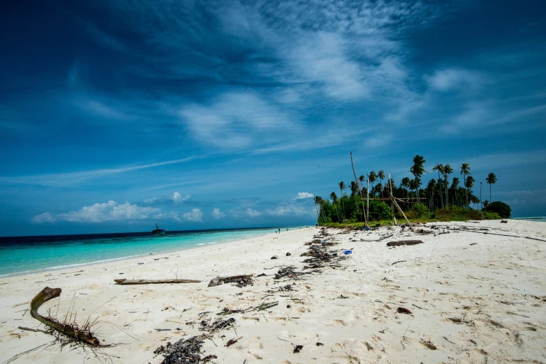 the beach and water are covered with lots of sand