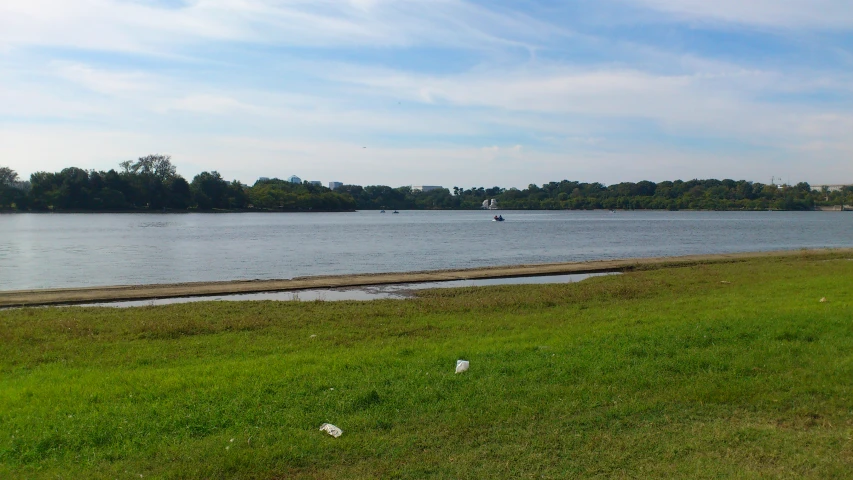 the grass is in front of the water