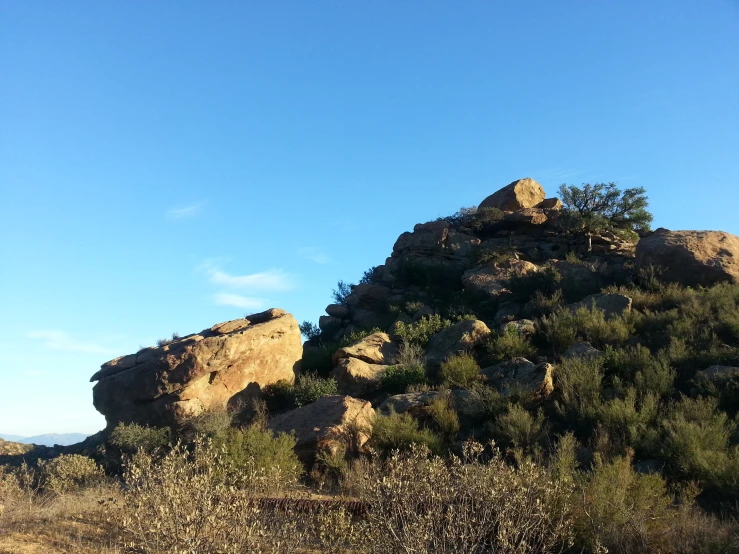 a grassy hillside covered with bushes and rocks