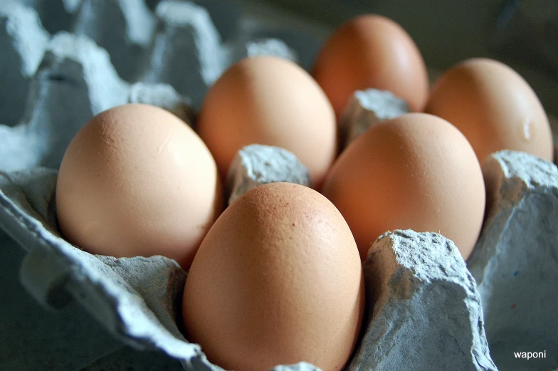 five eggs with one has a white background