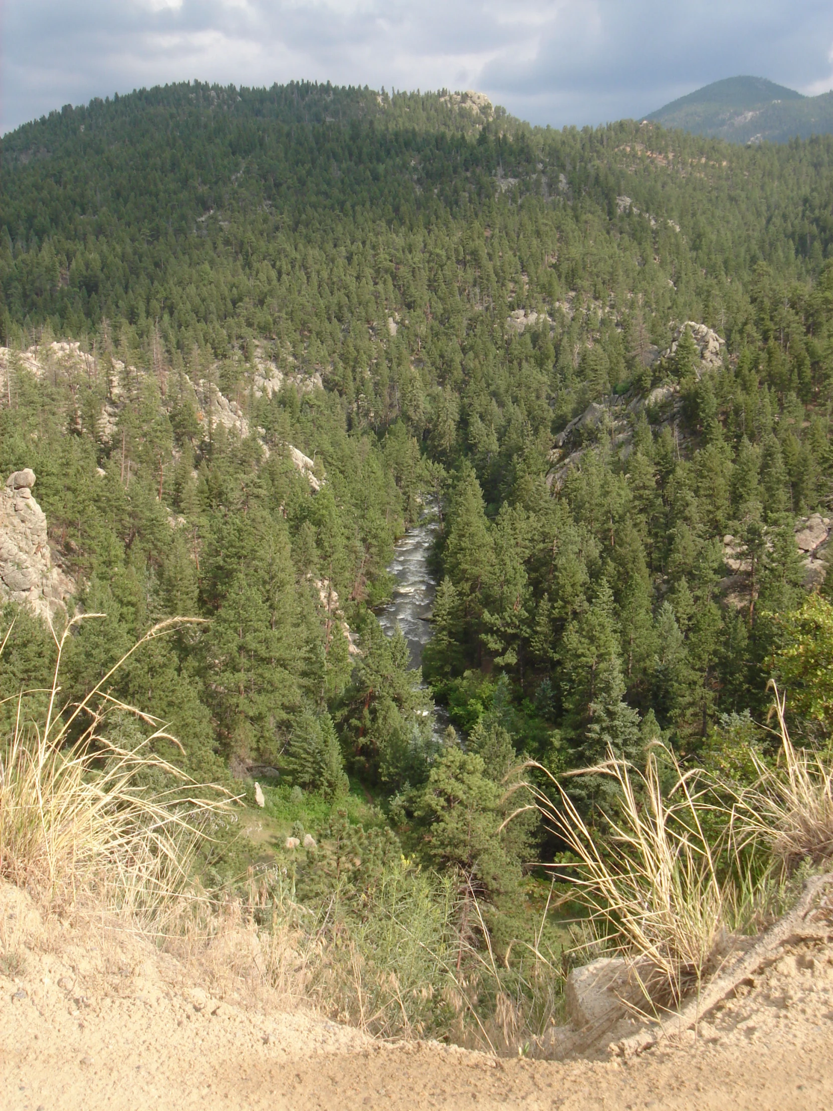 mountains in the background surrounded by trees and bushes