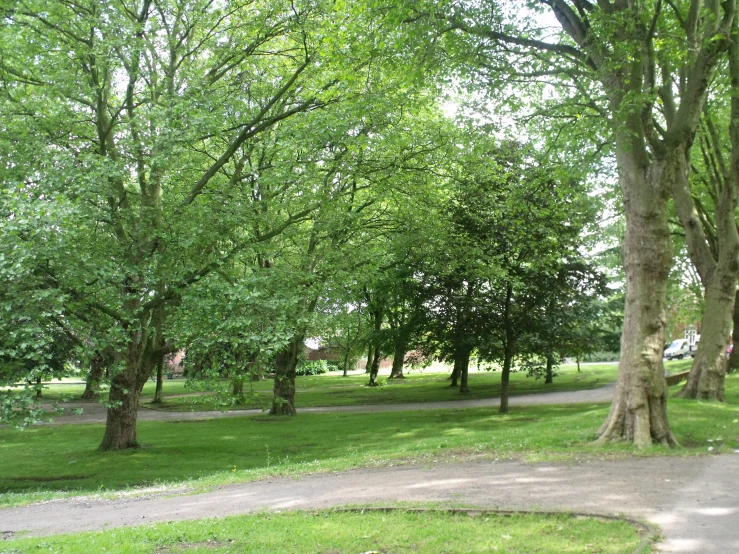 a walkway between some trees in a park