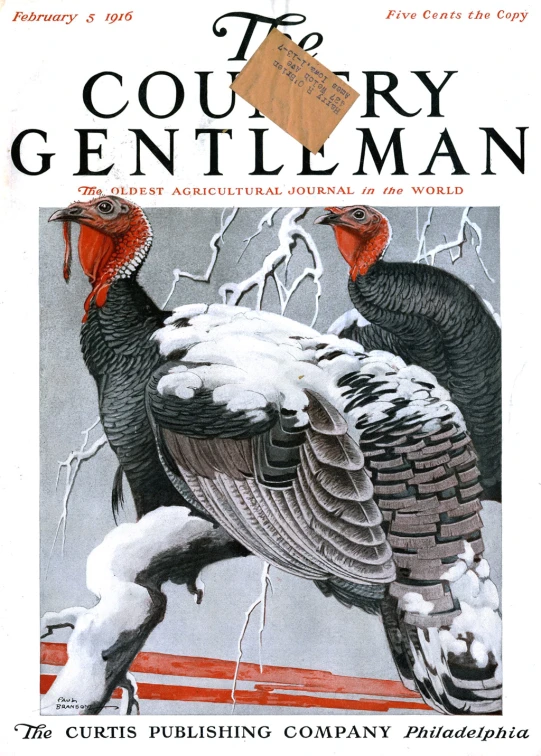 the cover to the country gentleman's magazine