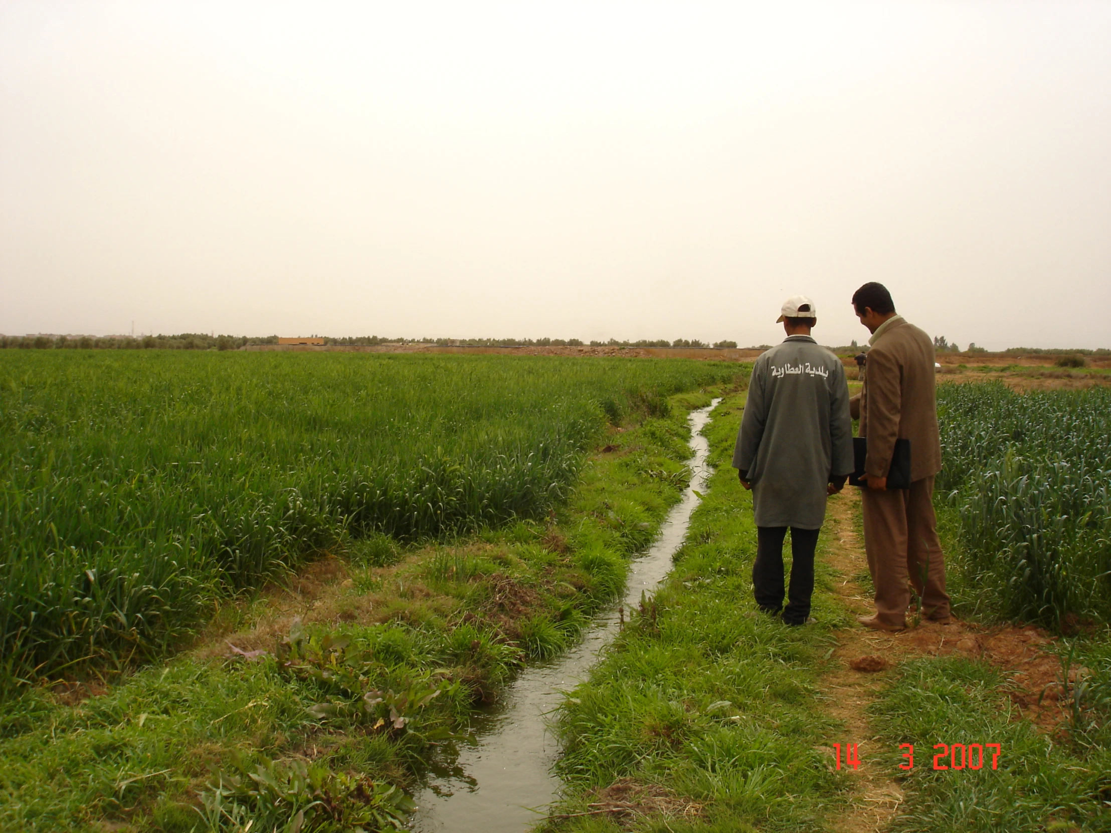 two men looking into a green field