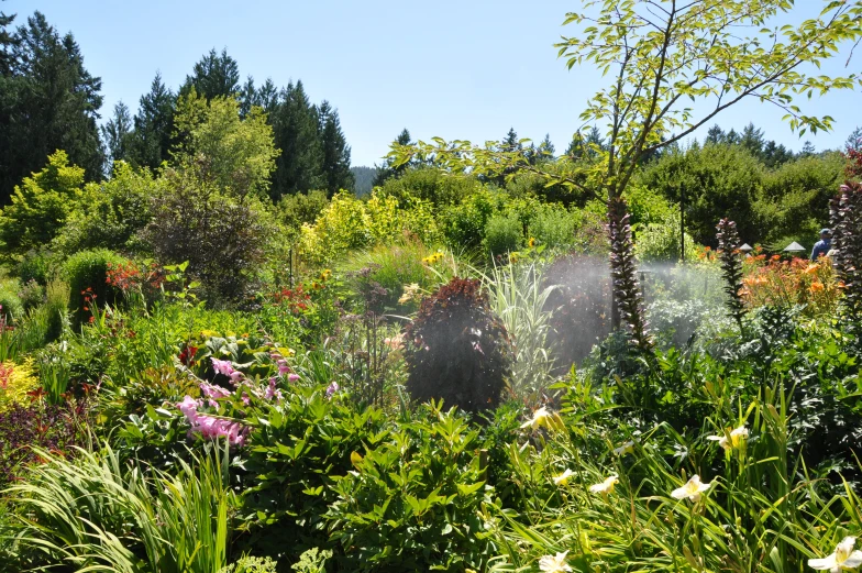 a very pretty garden with lush green grass and flowers