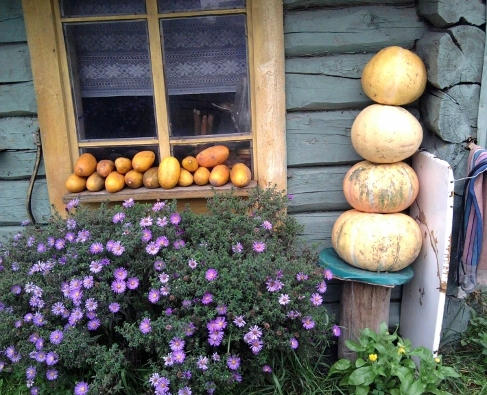 a window and some windowsill filled with pumpkins