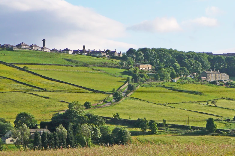 a grassy hillside has houses on the top