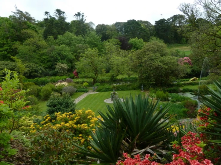 a park with flowers and shrubs near grass