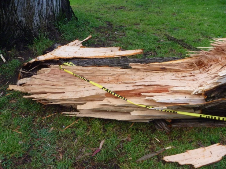 some large logs that are lying on the ground