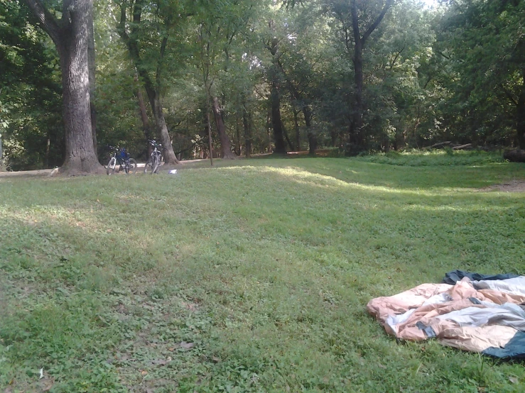 a blanket and picnic blankets on a field with trees in the background