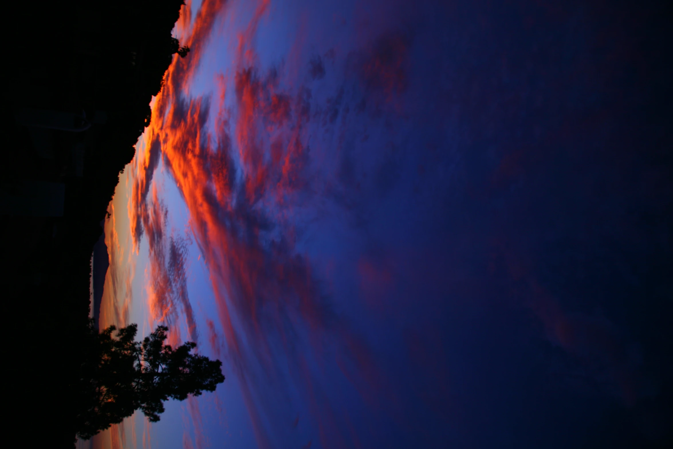 a bright sky and some trees at dusk