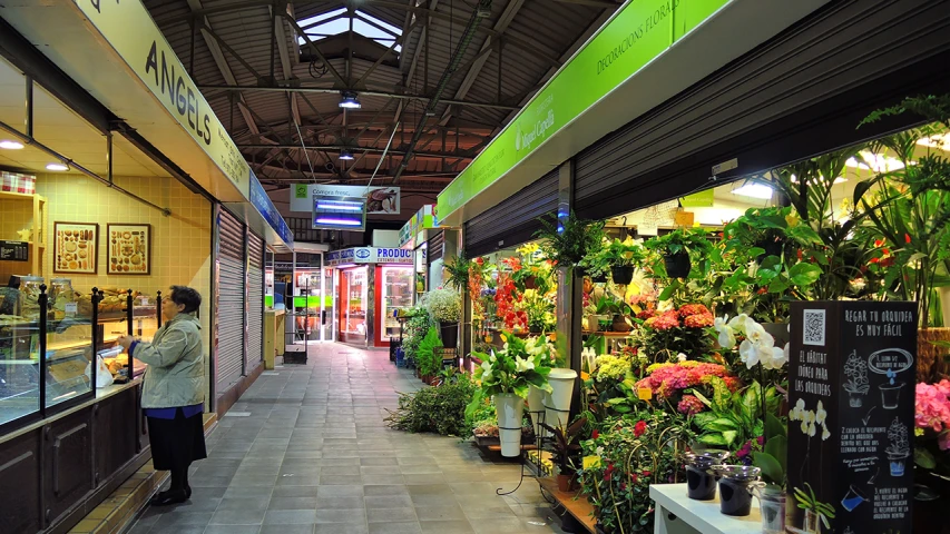 flowers for sale at a garden center