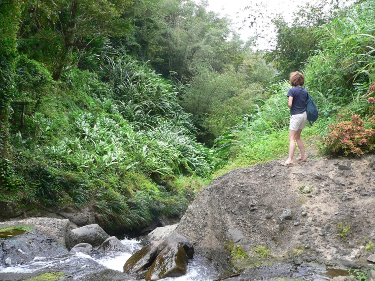 a person stands on top of a rock looking down a stream