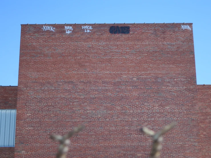 a wall with writing written on it near a tree