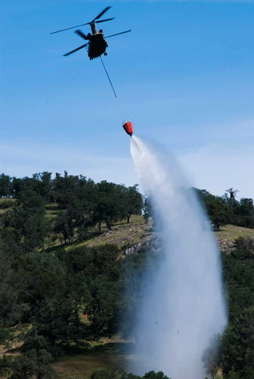 an helicopter dropping water onto trees on a sunny day