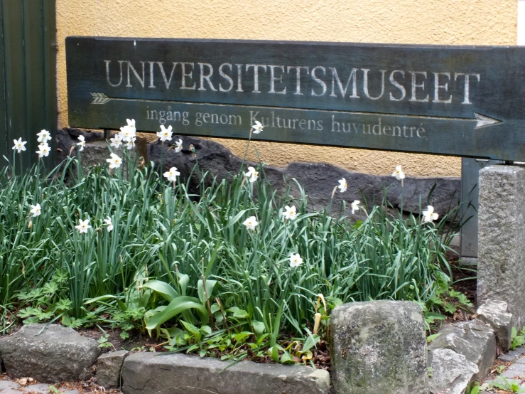 some rocks that have flowers in them next to a building