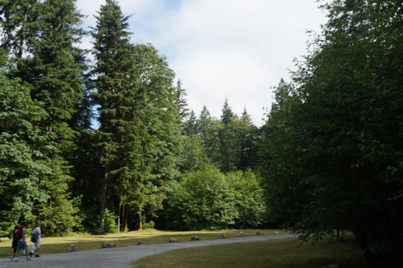 two people walk through the trees with a clear sky