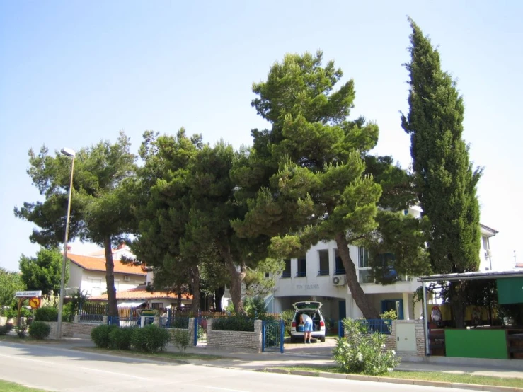 a tree lined street with a bus in the background