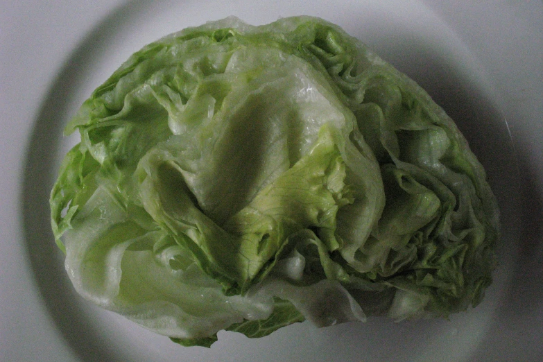 lettuce on a plate sitting on a table