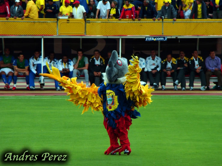 an animal dressed up in a costume at a sporting event