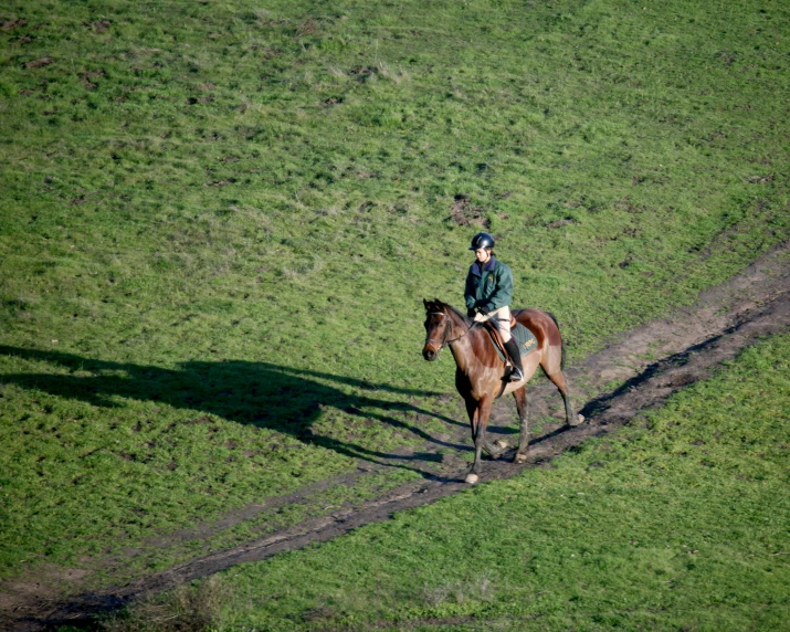 person on horseback riding in open grassy field