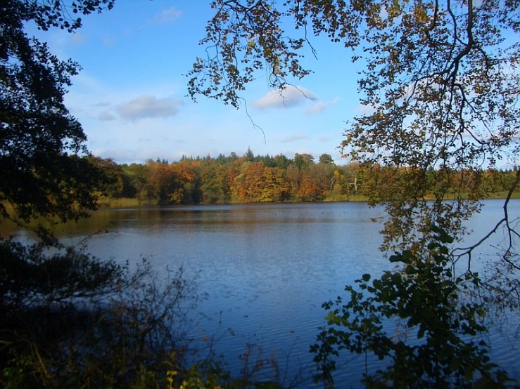 a blue lake surrounded by lots of trees