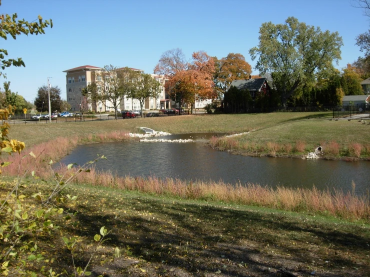 some water some buildings and some green grass and trees