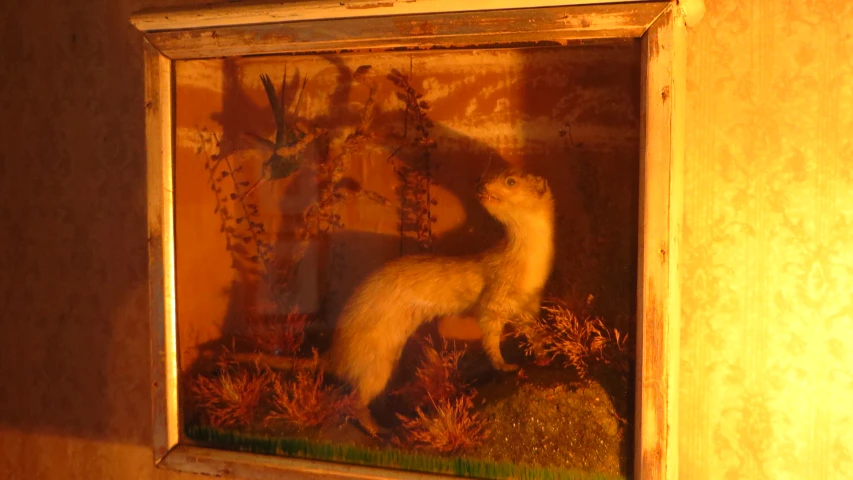 an animal in a glass case with moss and bird