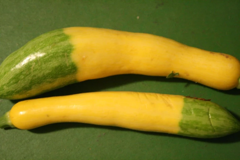 two green and yellow long squash with two holes